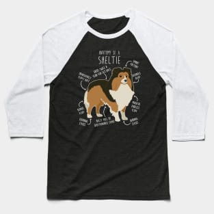 Sheltie Shetland Sheepdog Anatomy Baseball T-Shirt